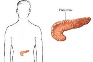 Imagen ilustrativa del artículo Aceite de Onagra en los Tratamientos de la Pancreatitis